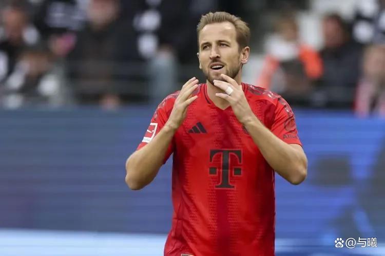 九游娱乐网站-霍芬海姆老将表现出色，或成球队关键之人的简单介绍