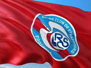 九游体育官方入口-帕尔梅拉斯主帅战术布置细致，力争半决赛全胜