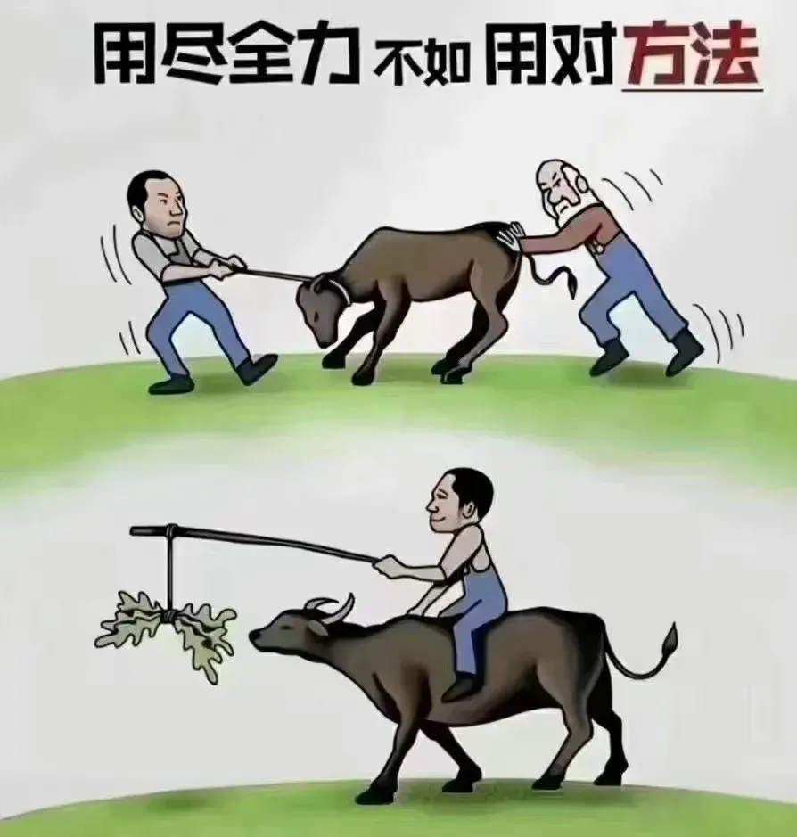 九游娱乐网页-力与技的较量，看谁更胜一筹