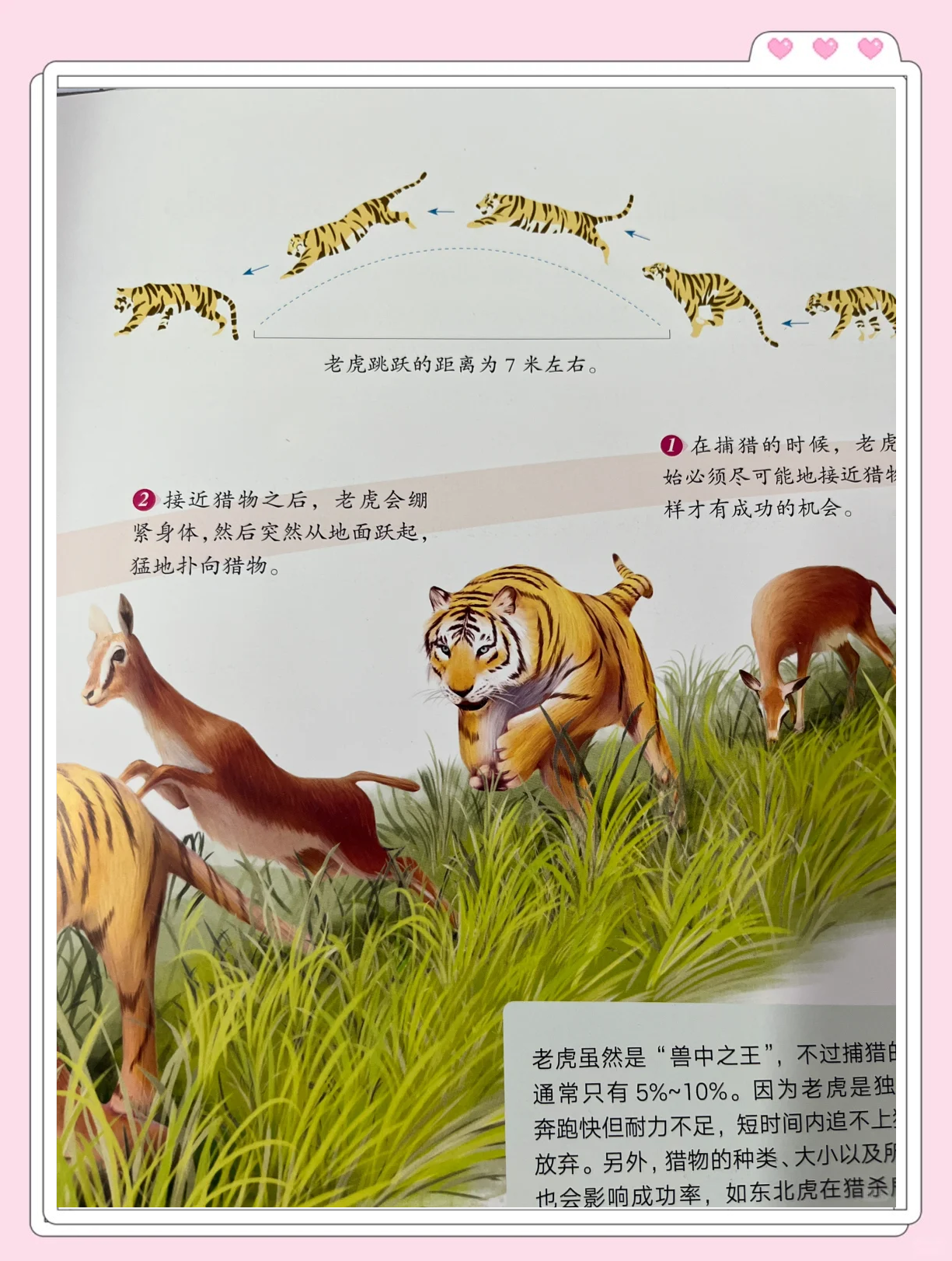 力与技的较量,看谁更胜一筹 力与技的较量,看谁更胜一筹