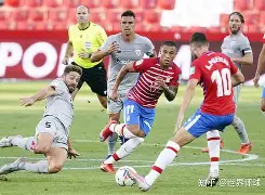 格拉纳达取胜在望,球迷齐心呐喊加油的简单介绍 格拉纳达取胜在望,球迷齐心呐喊加油的简单介绍