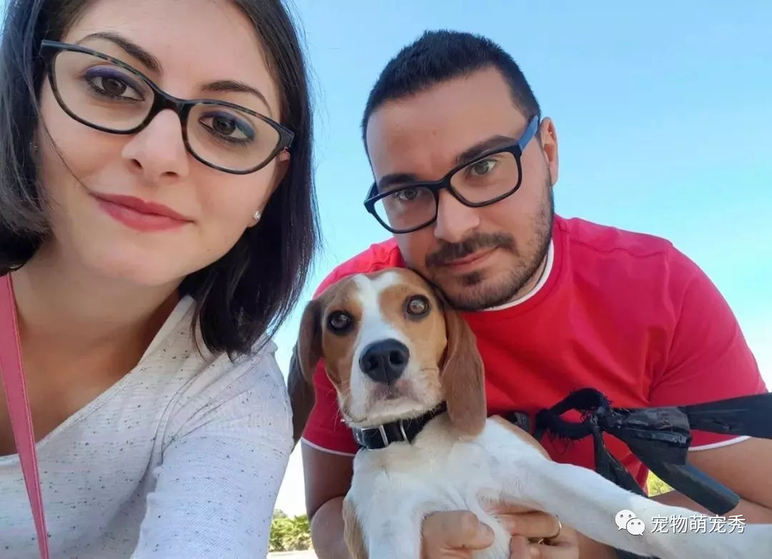 西班牙球员展现出色技术，获赞无数