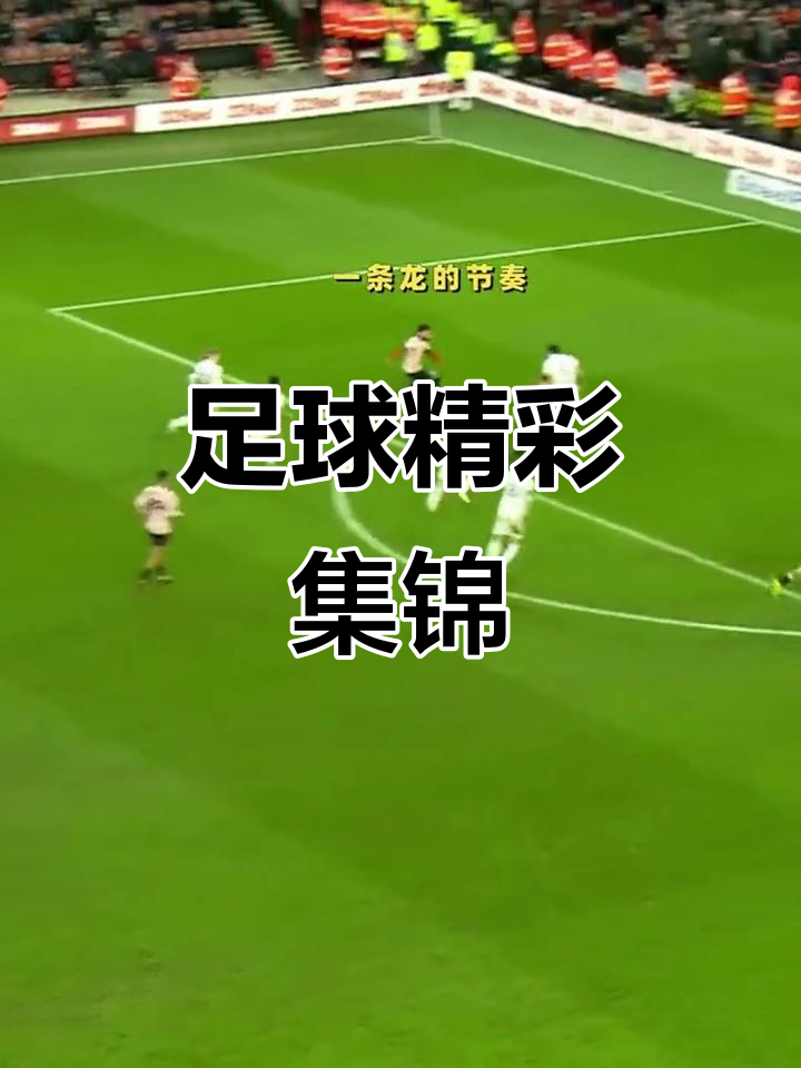 精彩瞬间不容错过,赛场上人气高涨的简单介绍 精彩瞬间不容错过,赛场上人气高涨的简单介绍