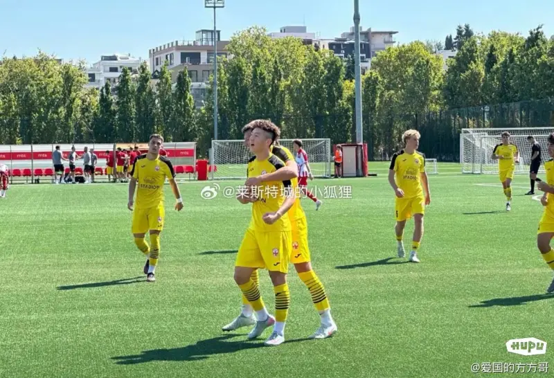 九游体育官方入口-贝尔破门沃兹尼亚克建功塞尔维亚主场主场大胜