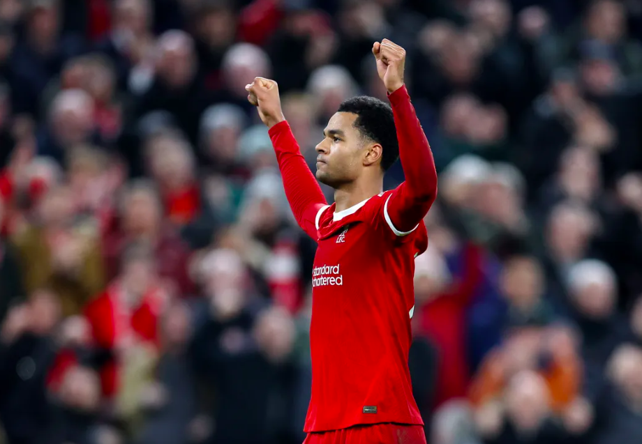 利物浦主场4:1大胜升班马南安普顿,继续领先的简单介绍 利物浦主场4:1大胜升班马南安普顿,继续领先的简单介绍