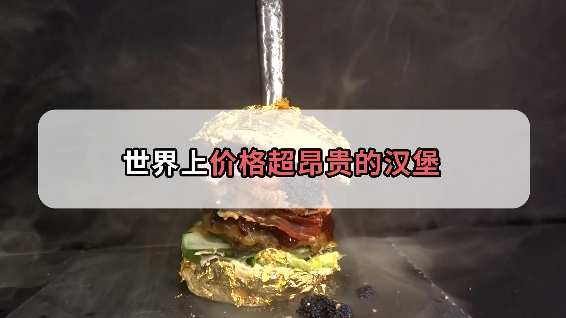 汉堡SV遭遇失利，面临保级压力