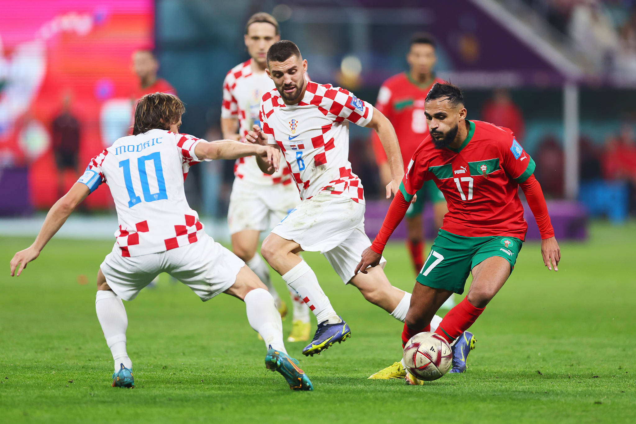 九游体育官方入口-比利时力克克罗地亚，实力证明无疚