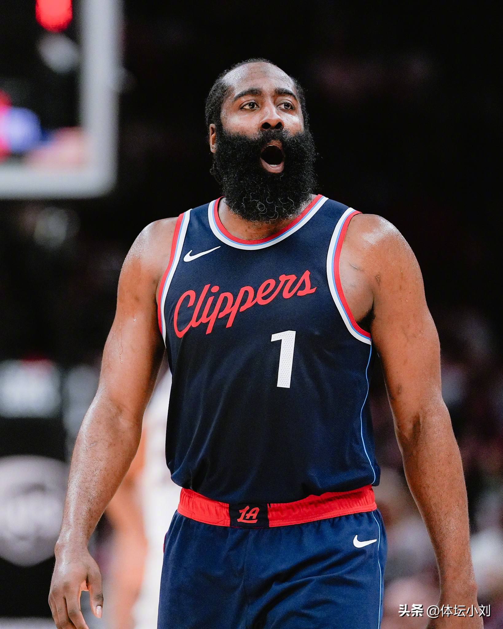 火箭主场大胜森林狼,哈登全场25分 火箭主场大胜森林狼,哈登全场25分