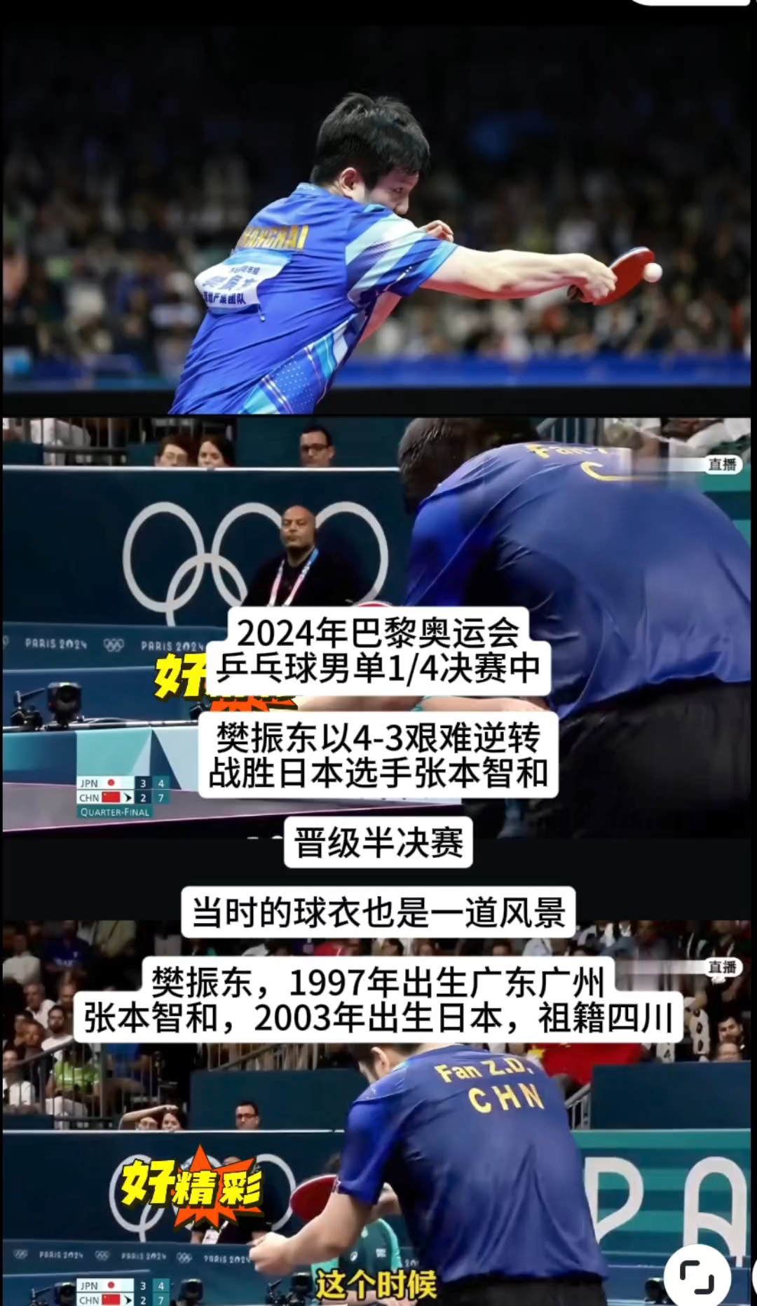 九游游戏-奥地利队完胜法国队，樊振东统治全场的简单介绍